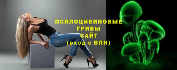 ешки Аркадак