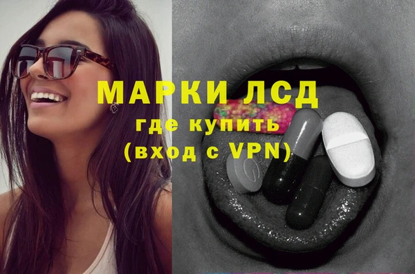 хмурый Алзамай