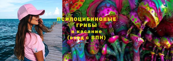 ешки Аркадак