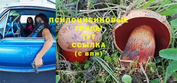 дживик Армянск