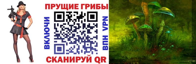 Галлюциногенные грибы GOLDEN TEACHER  где купить наркоту  Сочи 