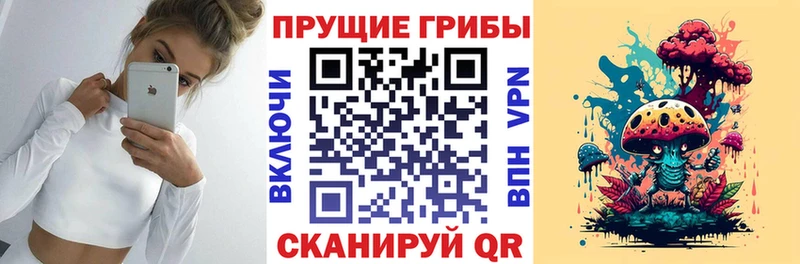 Галлюциногенные грибы GOLDEN TEACHER Сочи
