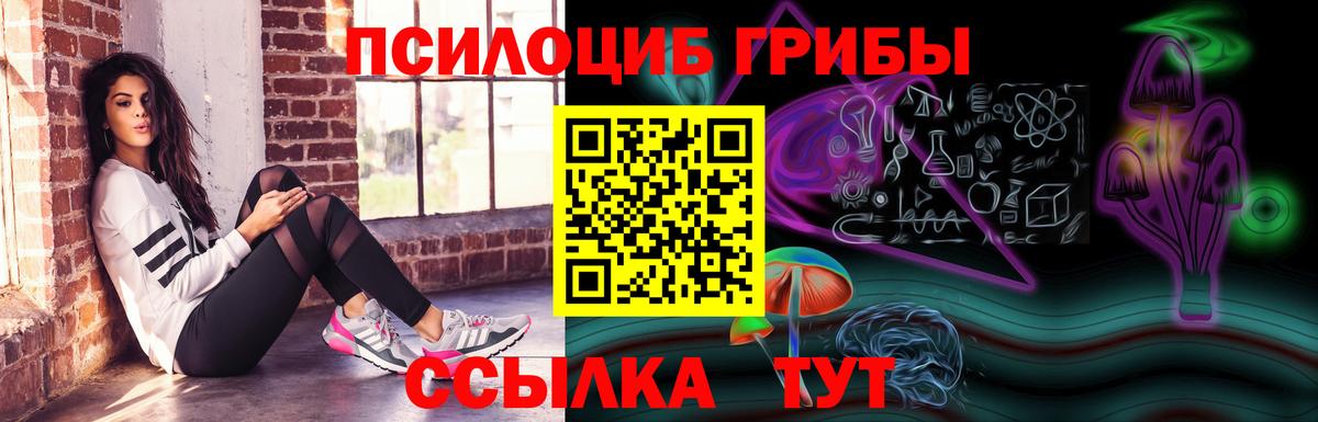 Галлюциногенные грибы Psilocybe Сочи